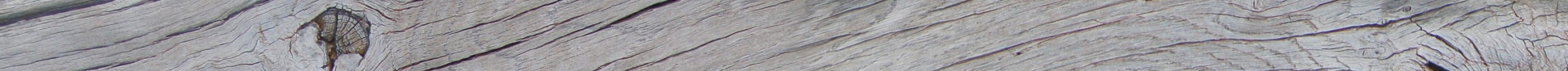 Decoration image