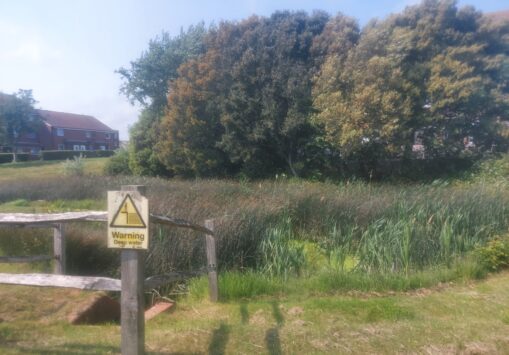 Meridian Line Meander