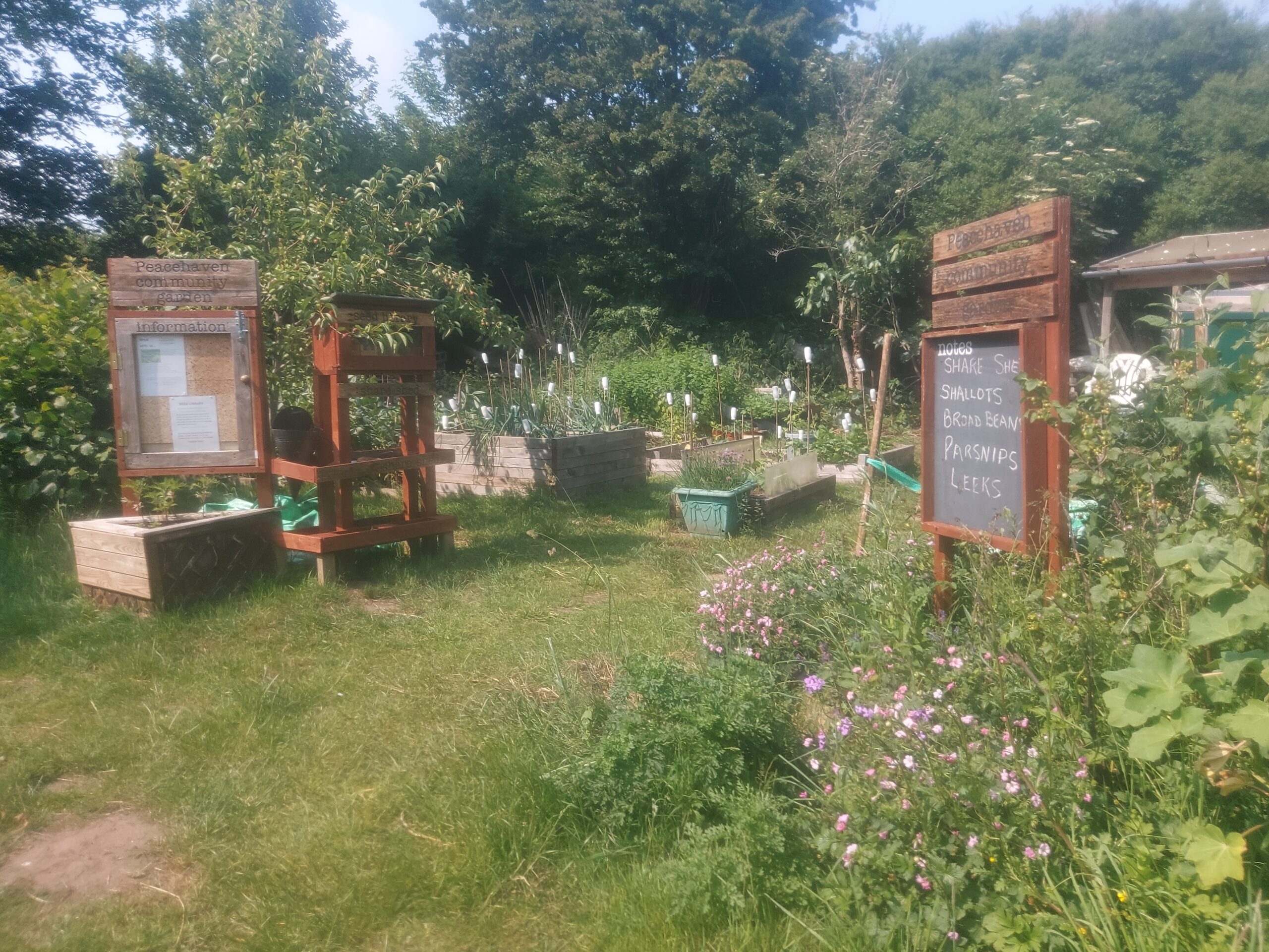 Community Garden