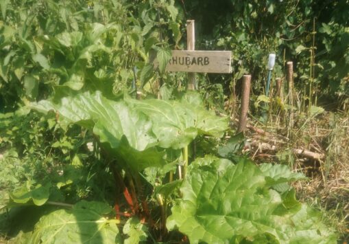 Meridian Line Meander