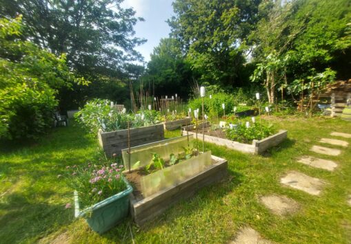 Meridian Line Meander