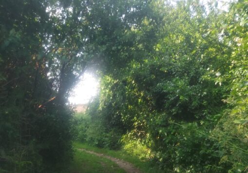 Meridian Line Meander