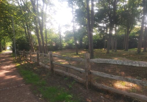 Meridian Line Meander